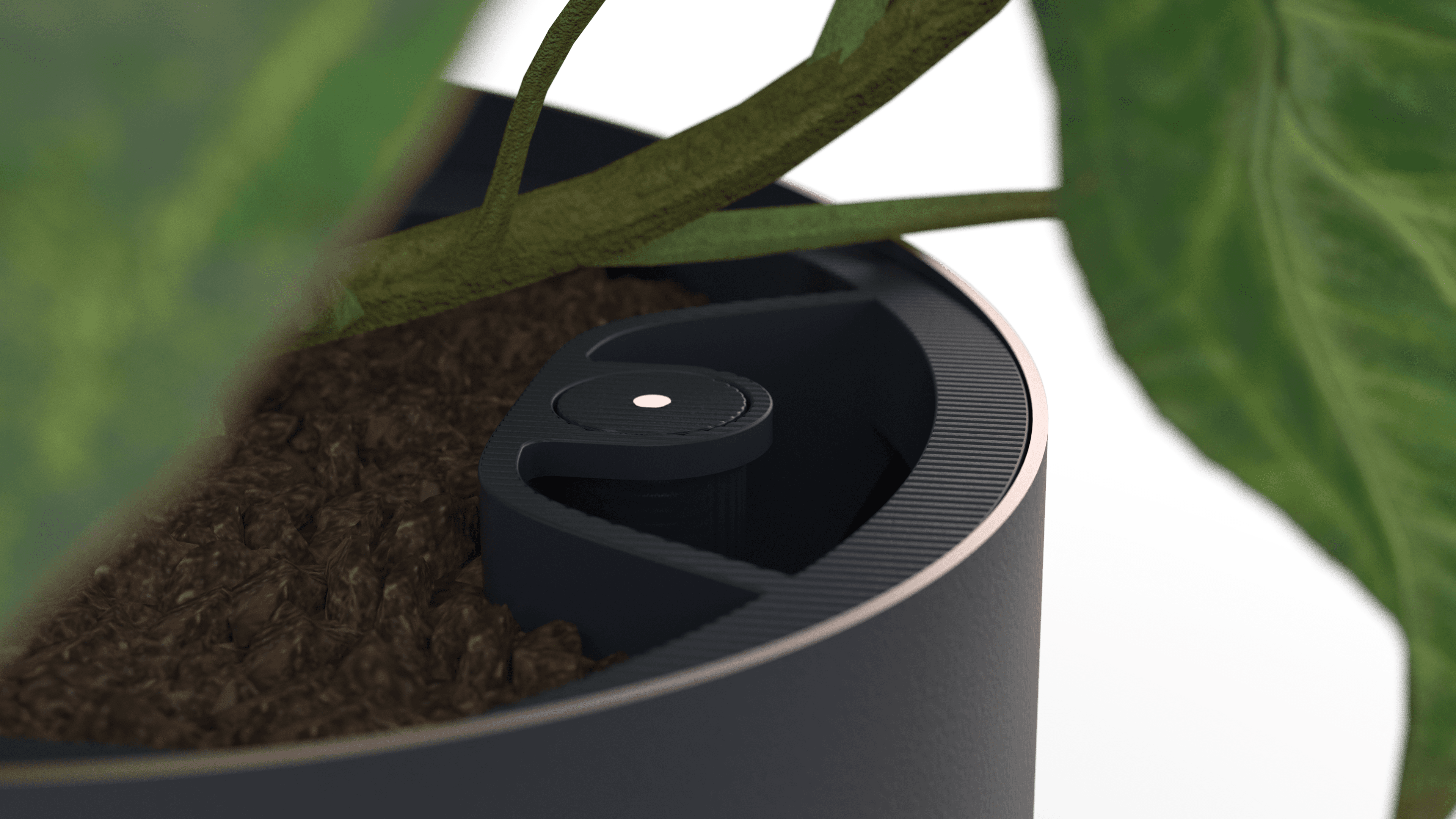 Air cleaning planter closeup