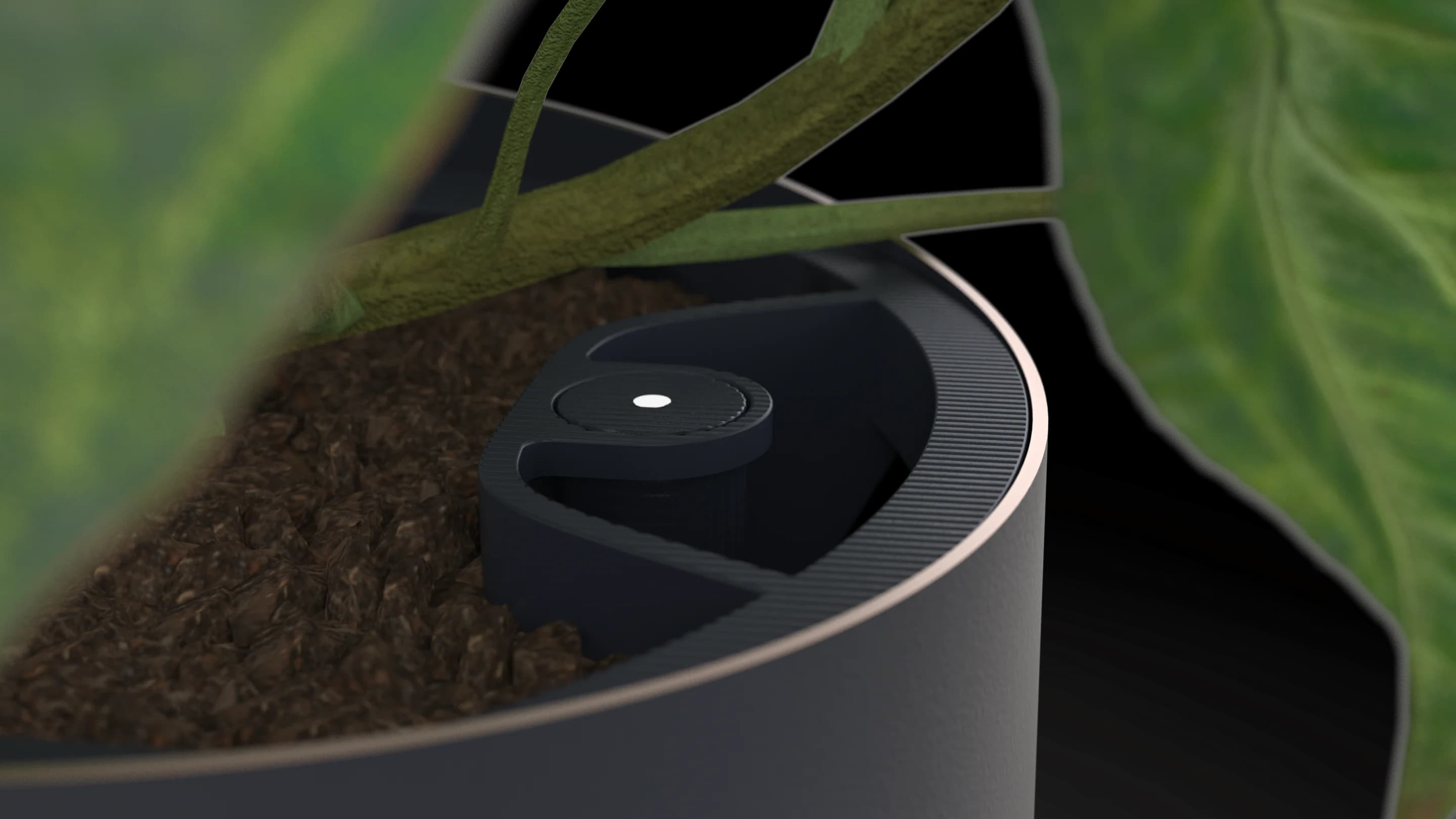 Air cleaning planter closeup